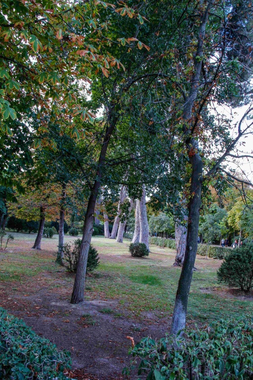 madrid 19bis.jpg