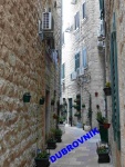 vil-27P1090458.jpg