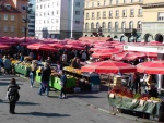 vil-36P1090787.JPG