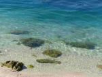 pay-61P1090381.JPG