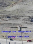 det-93P1090208.jpg