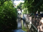 DSC07147.JPG