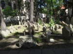 DSC07170.JPG