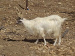 DSC07608.JPG