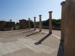 DSC07626.JPG