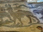 DSC07644_16.jpg