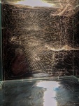 Expo-Tripo-24.jpg