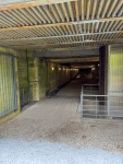 11h16-Eperlecques-2.jpg