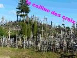 92.jpg